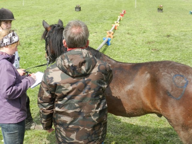 Rajd Mszana Górna 2015